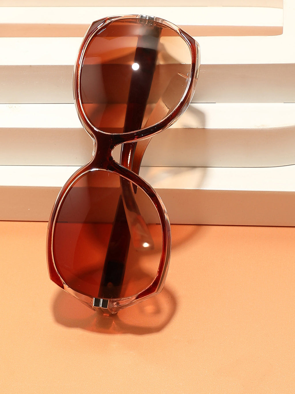 Tinted Lens Brown Frame Oversized Sunglass