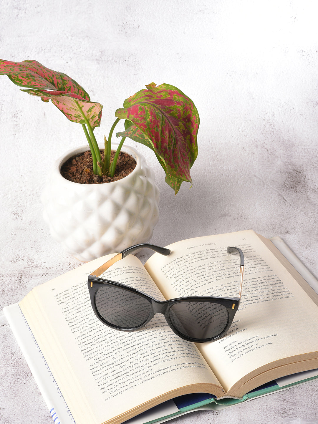 Black Lens Gold-Toned Wayfarer Sunglasses
