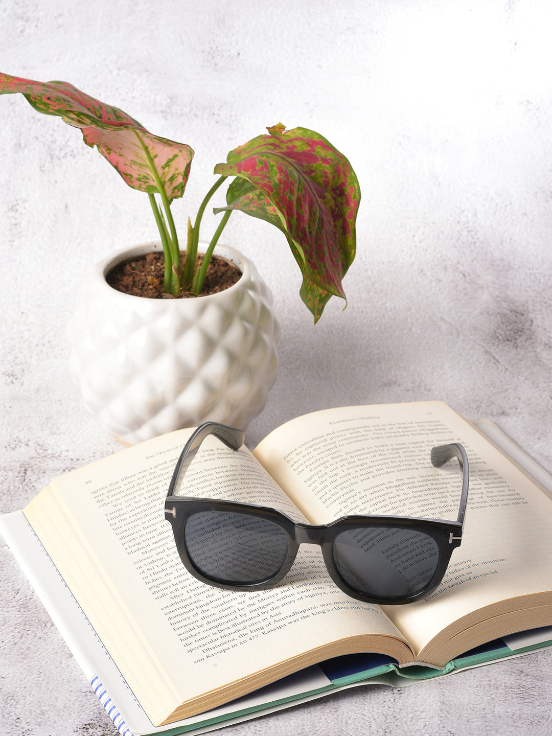 Black Lens Black Wayfarer Sunglasses