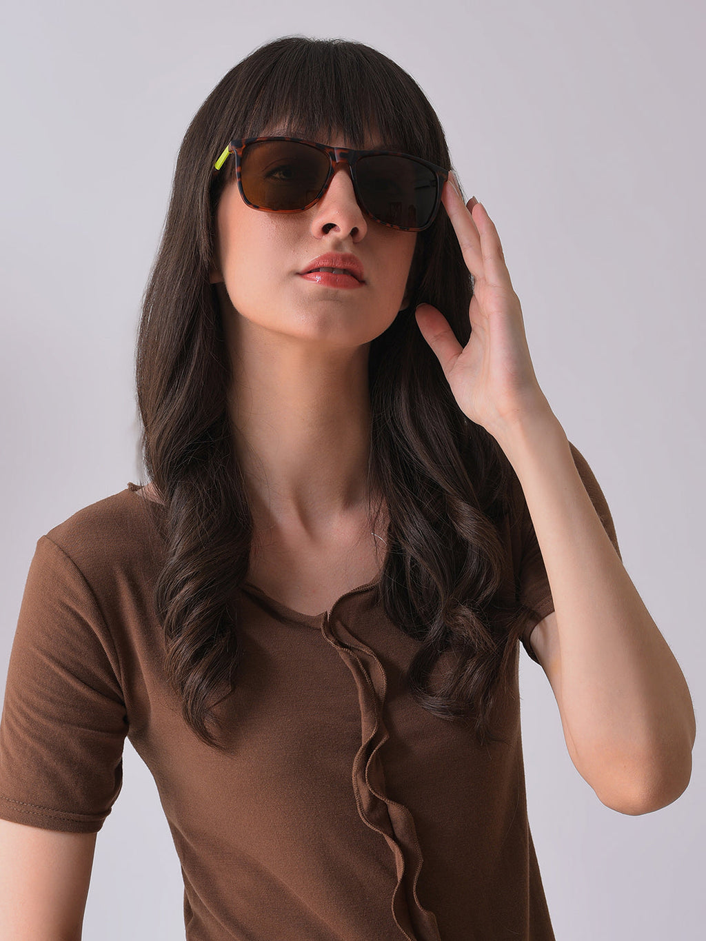 Brown Lens Brown Wayfarer Sunglasses