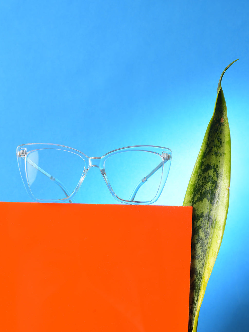 Clear Lens White Cateye Sunglasses