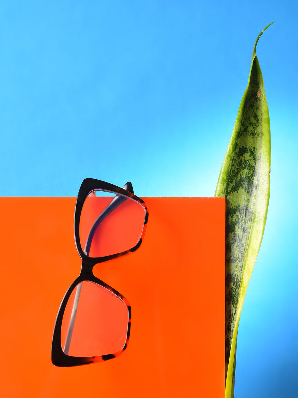 Clear Lens Brown Butterfly Sunglasses