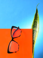 Clear Lens Brown Butterfly Sunglasses