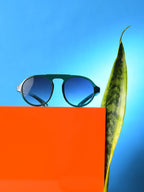 Black Lens Black Wayfarer Sunglasses
