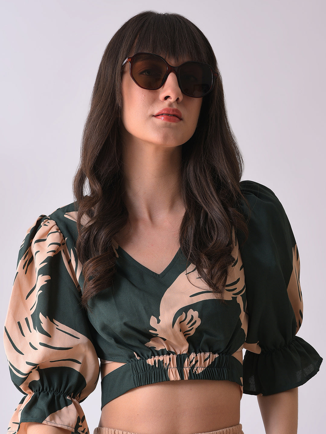 Brown Lens Brown Wayfarer Sunglasses