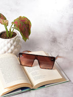 Brown Lens Brown Oversized Sunglasses