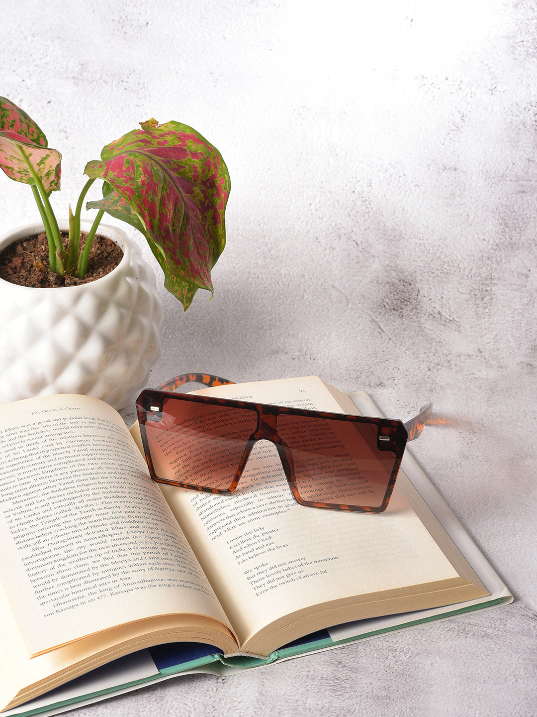 Brown Lens Brown Oversized Sunglasses