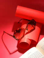 Brown Lens Brown Wayfarer Sunglasses