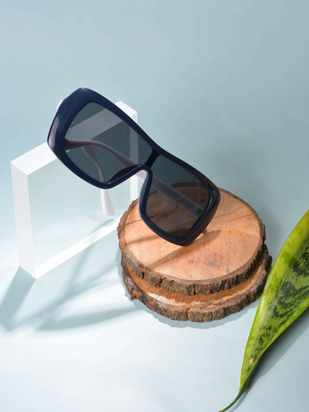 Black Lens Black Oversized Sunglasses