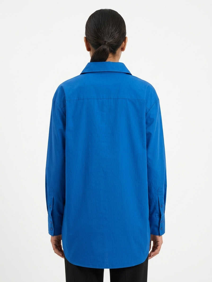 Blue Regular Fit Casual Long Sleeve Shirt