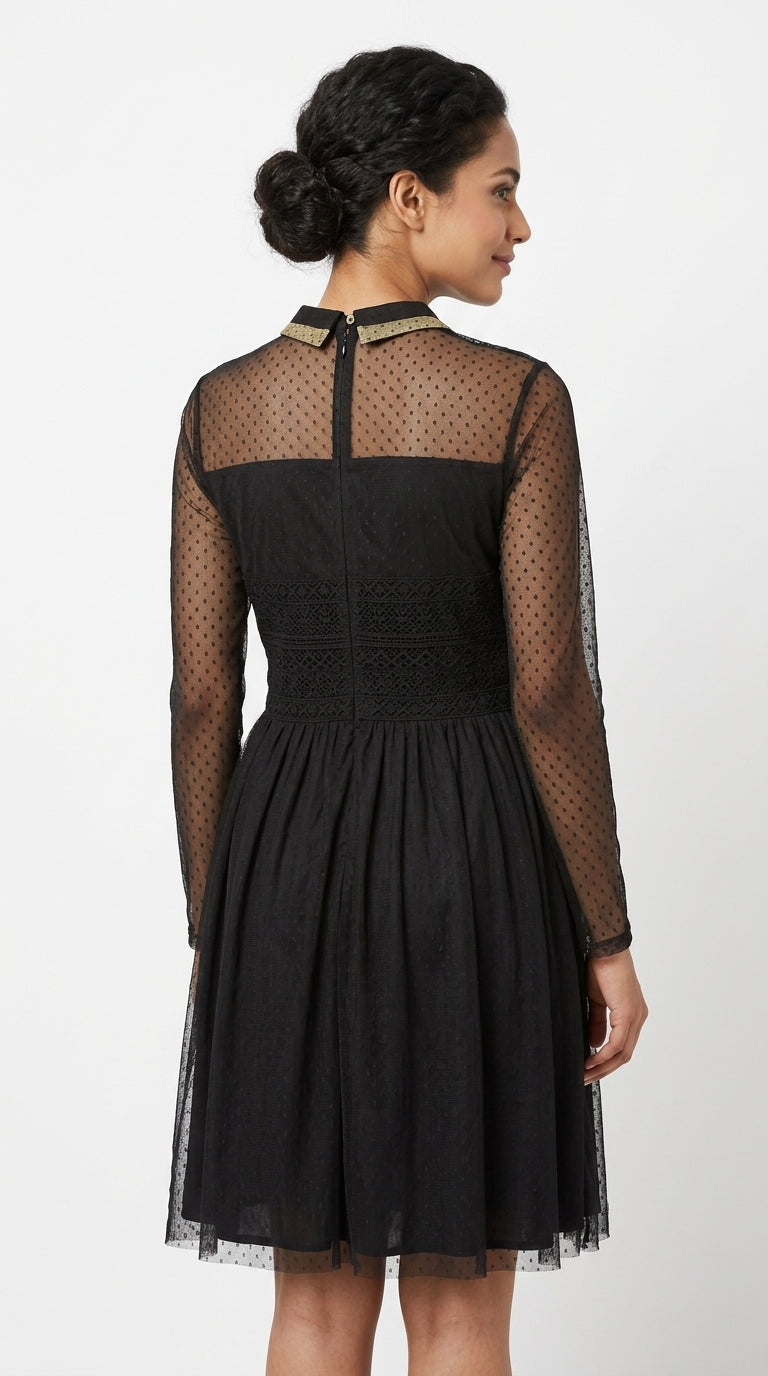 Black Sheer Sleeve Printed Flared Dress